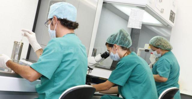 reproducción asistia